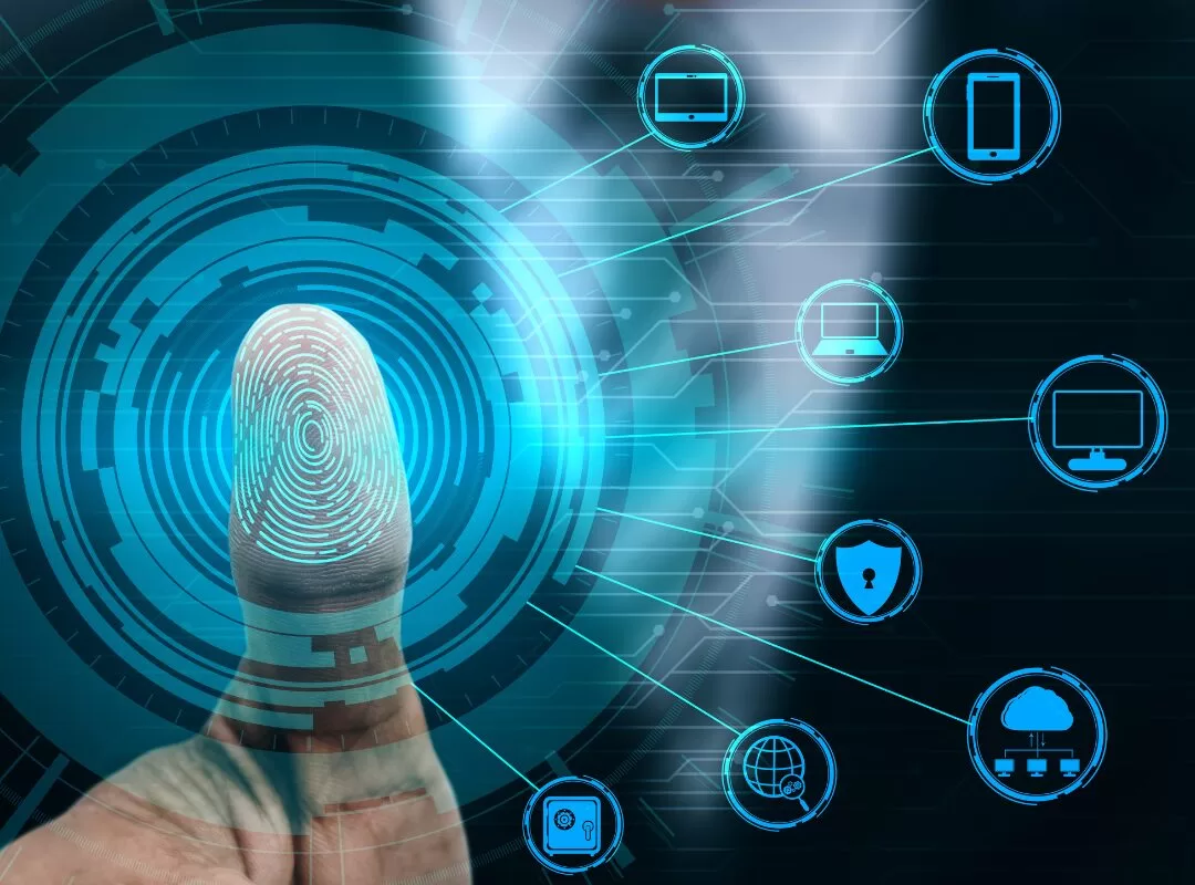 biometria-00095-jpg.webp
