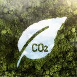 view-green-forest-trees-with-co2