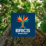 brics_brasil-150x150