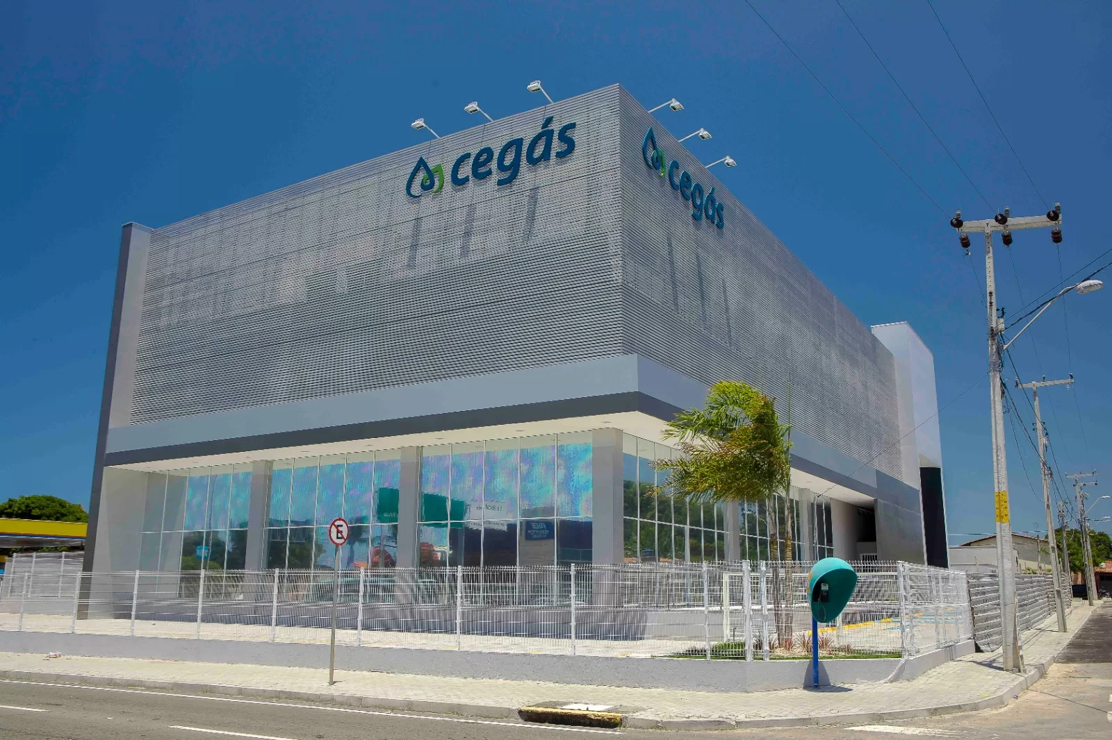 cegas.webp